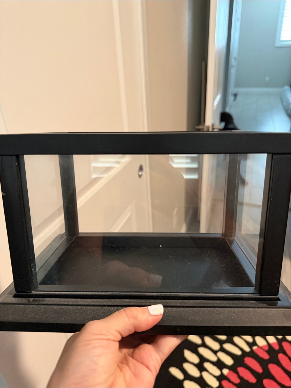 Matte Black Glass Display box
